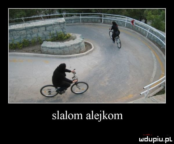 slalom alejkom mgńpiupl