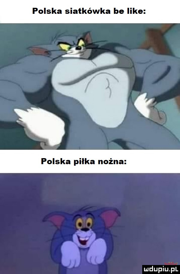 polska siatkówka be like polska piłka nożna