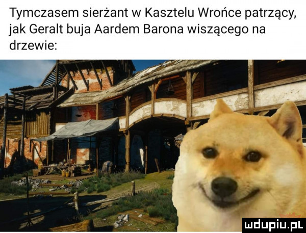 tymczasem sierżant w kasztelu wrońce patrzący jak geralt buja aardem barona wiszącego na drzewie