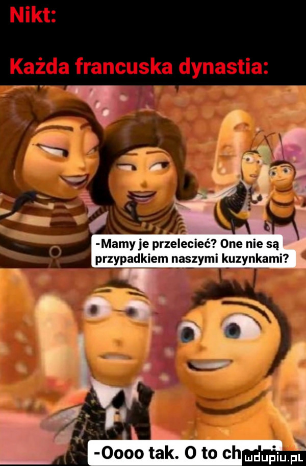 mamy je przelecieć one nie są przypadkiem naszymi kuzynkami e  oooo tak oto ch mam fl