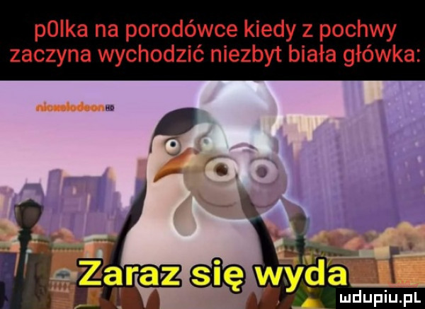 polka na porodówce kiedy z pochwy zaczyna wychodzić niezbyt biała główka ńi wydawdunif f