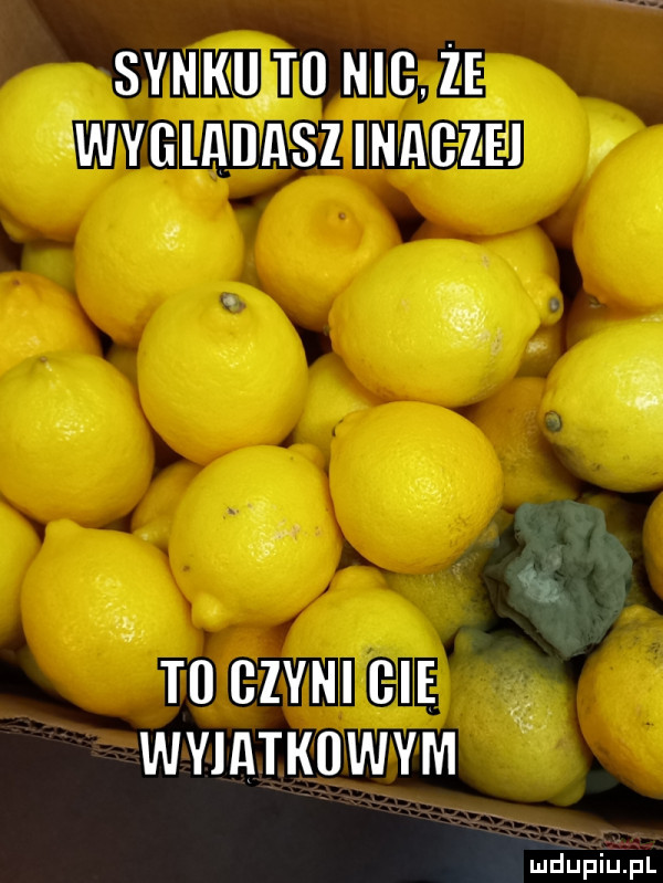 synkuio nic. że wygladasz imacze i t  czum bae wvmmwvm