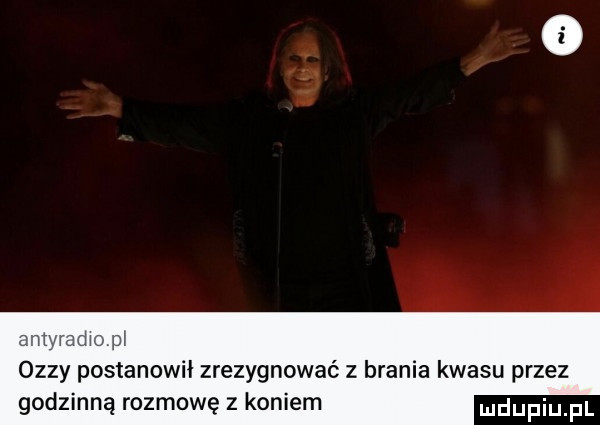 mer who    oazy postanowił zrezygnować z brania kwasu przez godzinną rozmowę z koniem