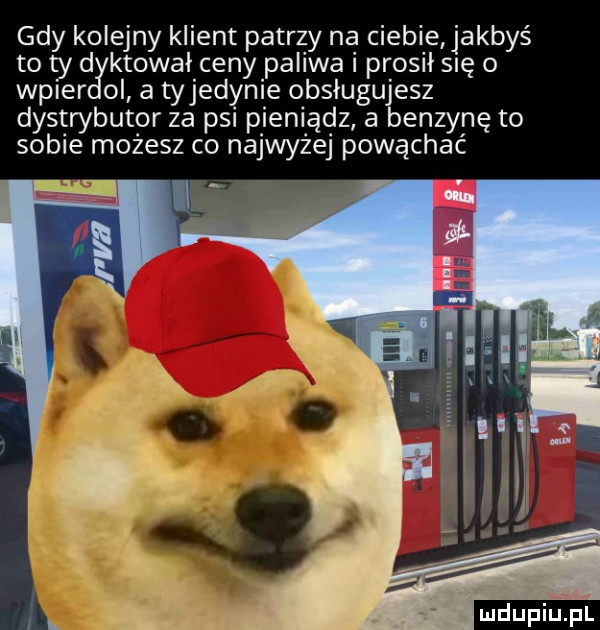 gdy kolejny klient patrzy na ciebie jakbyś to ty d ktowal ceny paliwa i prosił się o wcier ol a tyjedynie obslugujesz dystrybutor za psi pieniądz a benzynę to sobie możesz co najwyżej powąchać