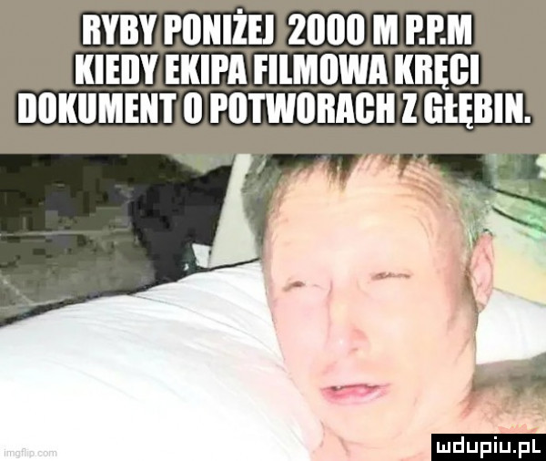 ryby poniżsi      m m kieily ekipa filmijwa kręgi dokument   p  i woiiaoii l liłębin. j ludu iu. l