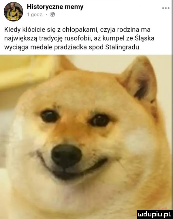 historyczne memy kiedy kłócicie się z chłopakami czyja rodzina ma największą tradycję rusofobii aż kumpel ze śląska wyciąga medale pradziadka spod stalingradu   i c w