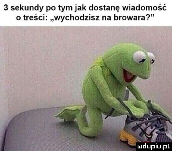 sekundy po tym jak dostanę wiadomość o treści wychodzisz na browara mduplu pl