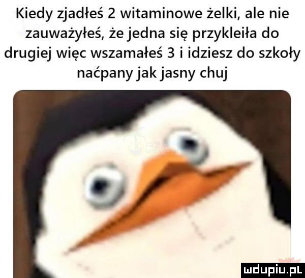 kiedy zjadłeś   witaminowe żelki ale nie zauważyłeś że jedna się przykleiła do drugiej więc wszamałeś   i idziesz do szkoły naćpany jakjasny chuj ludu iu. l