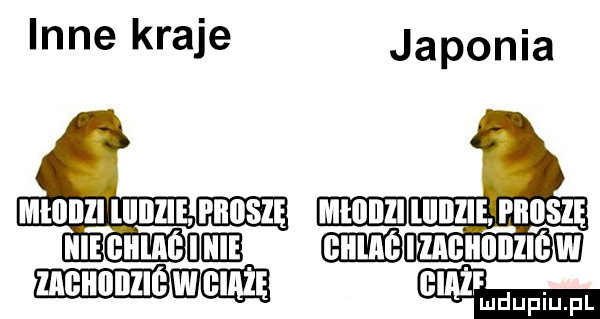 inne kraje japonia m i i        i du t