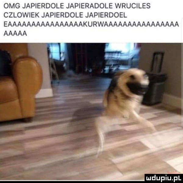 omg japierdole japieradole wruciles czlowiek japierdole japierdoel eaaaaaaaaaaaaaaaakurwaaaaaaaaaaaaaaaa aaaaa iudljﬁi uml