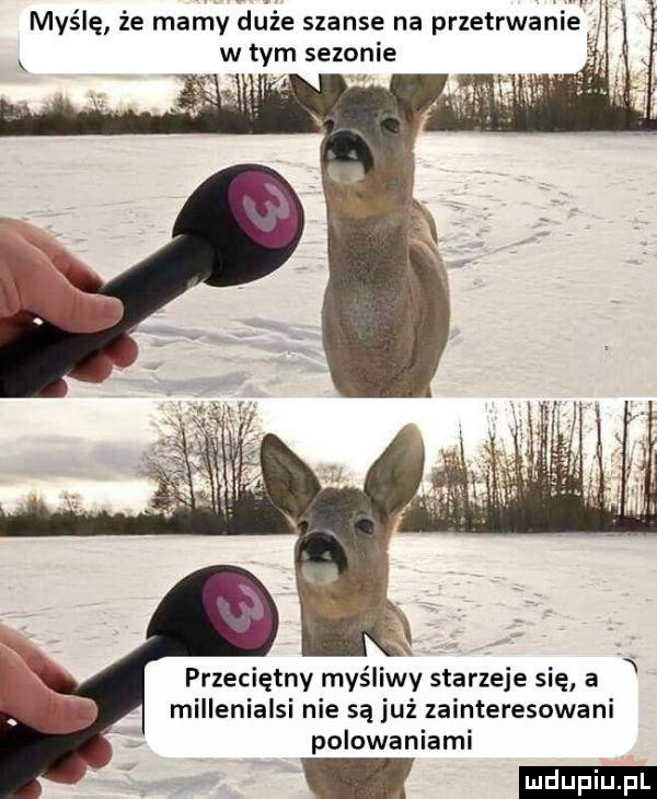 myślę ze mamy duże szanse na przetrwanie w tym sezonie przeciętny myśliwy starzeje się a w millenialsi nie są już zainteresowani polowaniami