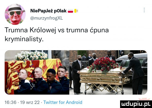 niepapjeż polak murzynfrogxl v. trumna królowej vs trumna ćpuna kryminalisty.          w-z    twitterfor android