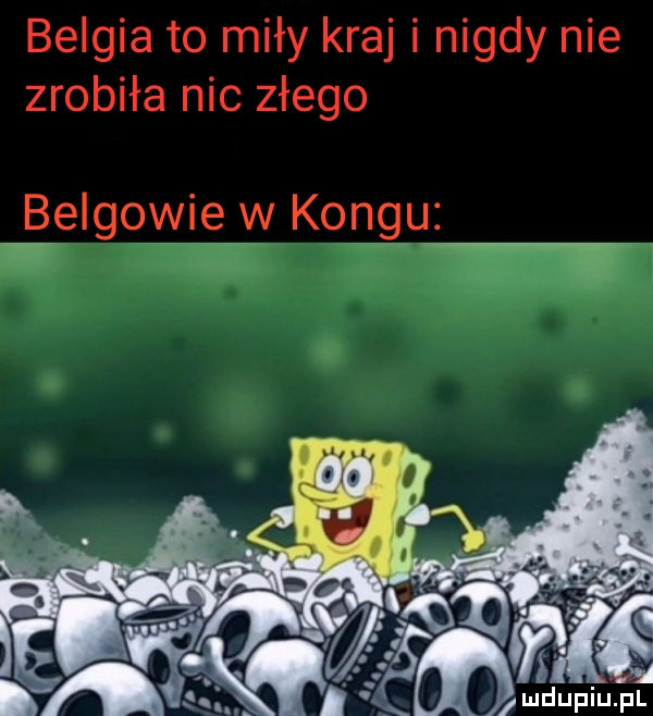 belgia to miły kraj i nigdy nie zrobiła nic złego belgowigw kongu