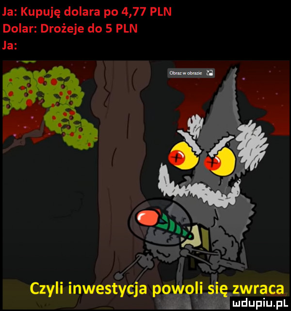 ja kupuję dolara po      pln dolar drożeje do   pln czyli inwestycja p skraca