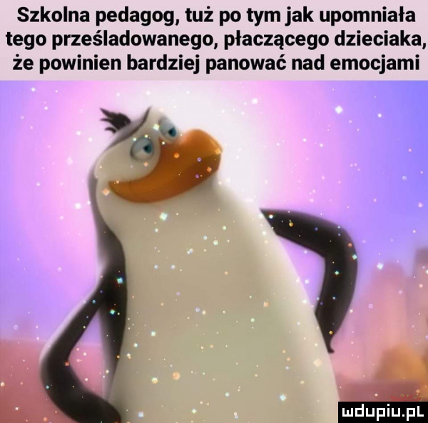 szkolna pedagog tuż po tym jak upomniała tego prześladowanego płaczącego dzieciaka że powinien bardziej panować nad emocjami yj