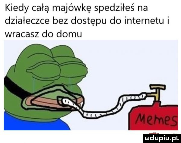 kiedy całą majówkę scedziłeś na działeczce bez dostępu do internetu i wracasz do domu