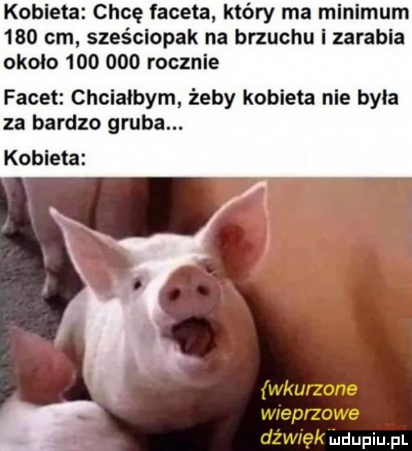 kobieta chcę faceta który ma minimum     cm sześciopak na brzuchu i zarabia około         rocznie facet chciałbym żeby kobieta nie była za bardzo gruba. kobieta wkurzone wieprzowe dźwięk udupiupl