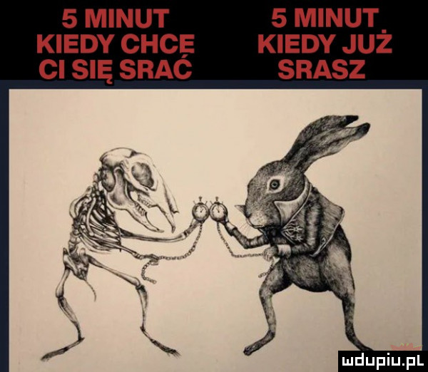 minut   minut kiedy chcę kiedy juz cl się srac srasz