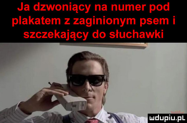 ja dzwoniący na numer pod plakatem z zaginionym psem i szczekający do słuchawki ludu iu. l