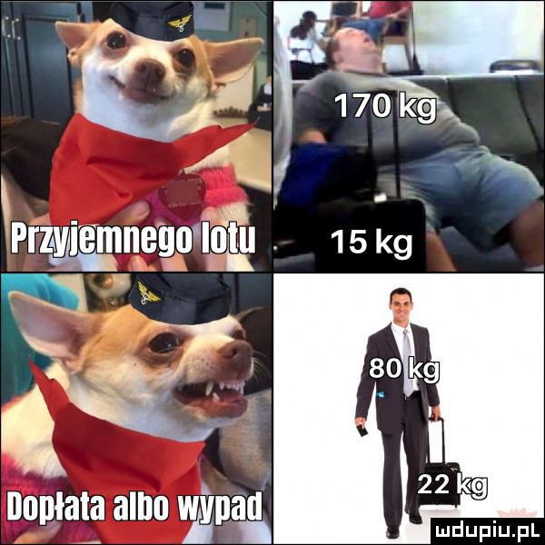 dopłata all