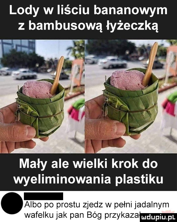 lody w liściu bananowym z bambusową łyżeczką mały ale wiélki krok do wyeliminowania plastiku albo po prestu zjedz w pełni jadalnym wafelku jak pan bóg przykaza win