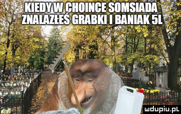 w mnmcnnmcisomsmm mums unum mam
