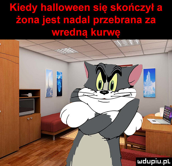 kiedy halloween się skończył a żona jest nadal przebrana za wredną kurwę vii rżiupiupl