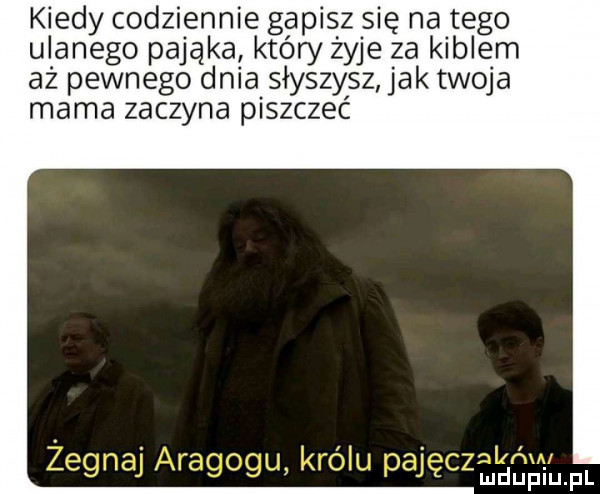 kiedy codziennie gapisz się na tego ulanego pająka który zyje za kiblem aż pewnego dnia słyszysz jak twoja mama zaczyna piszczeć magm