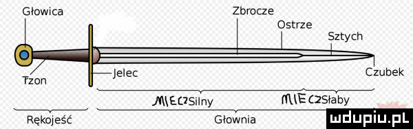 głowica zbrocze ostrze sztych taon jelec czubek i eusnny roe zsvaby rekoleśc głowna