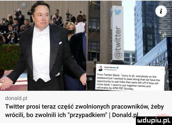 dana d pl twitter prosi teraz część zwolnionych pracowników żeby wrócili bo zwolnili ich przypadkiem donald. abakankami