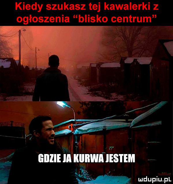 kiedy szukasz tej kawalerki z ogłoszenia blisko centrum x l rr illlllwn jestem x i wdupiu pl f