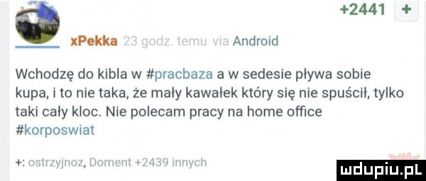 xpekka andrmd wchodzę do kibla w pracbaza a w sedesie pływa sobie kupa no nie taka że mały kawałek który się me spuścił. tylko taki cały meo nie polecam pracy na home ofﬁce korposwm n u w w