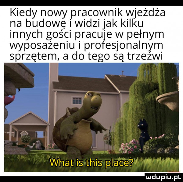 kiedy nowy pracownik wjeżdża na budowę widzi jak kilku innych gości pracuje w pełnym wyposażeniu pro esjonalnyrn sprzętem a do tego są trzeźwi wiat is tais pla c é