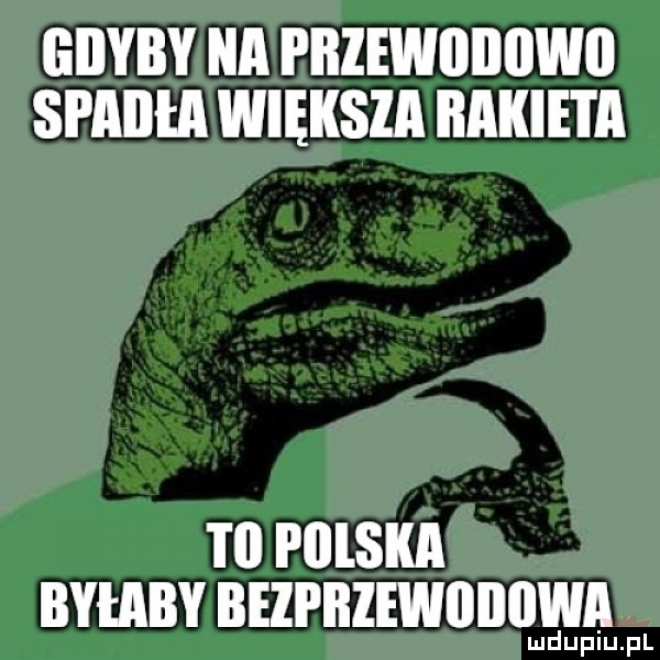 gdyby a pbzewiiiiiiwii spaiiea większa rakieta t  polska byłaby bezprzewodowa muiup pl