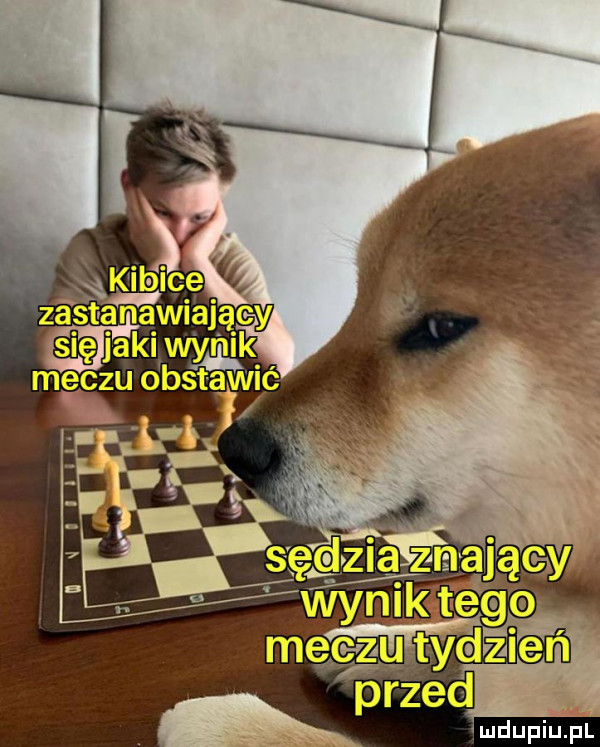 mdupilipl