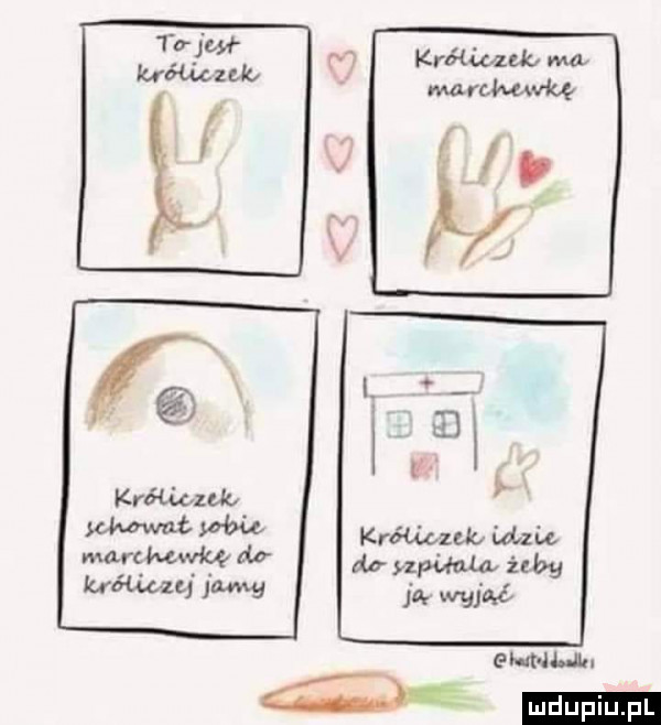 krótwukz ch ocr unia. żeby ja a gai hull ludu iu. l