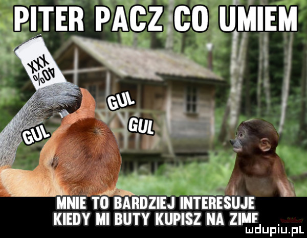 piter pacz ido umiem ii nie to bardziej interesiije kiedy iii buty kupisz na zime ludupiu. pl