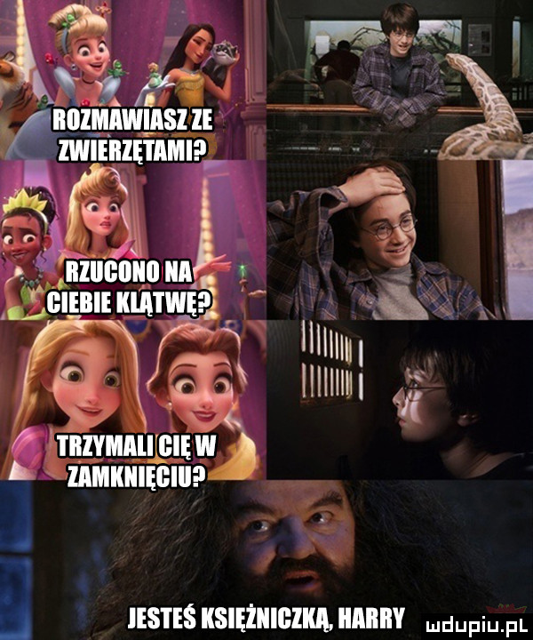 m złuąmi samum. illluungumlft mugging. kg   hill ęj ham    i. abakankami x  a   d    księżiigiiia all