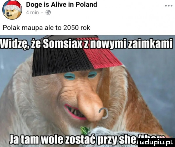 ge is alice in poland polak małpa ale to      rok widzę. że sumsiax z nowymi zaimkami t   a r   n x i vim a tąmrwule znslac urz u