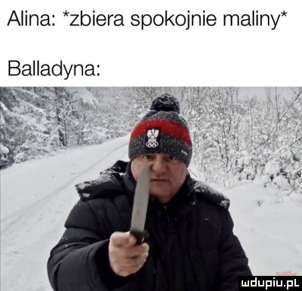 alina zbiera spokojnie maliny balladyna