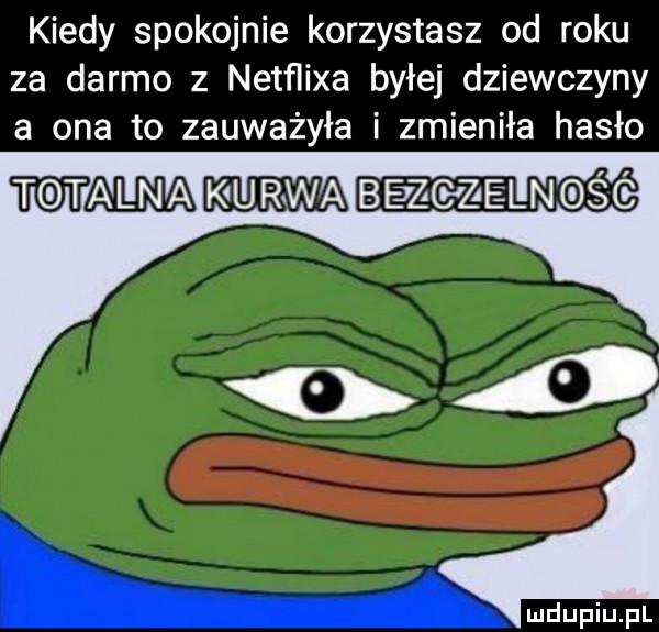 kiedy spokojnie korzystasz od roku za darmo z netﬂixa byłej dziewczyny a ona to zauważyła i zmieniła hasło witam k urwa bejzgjzaezlngśó