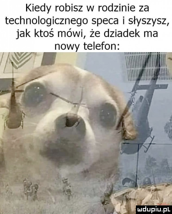 kiedy robisz w rodzinie za technologicznego speca i słyszysz jak ktoś mówi że dziadek ma nowy telefon. lu u lu. l d f f r. xr