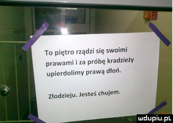 to piętro rządzi się swoimi prawami i za próbę kradzieży upierdolimy prawą dłoń. złodzieju. jesteś chujem i udupiu pl