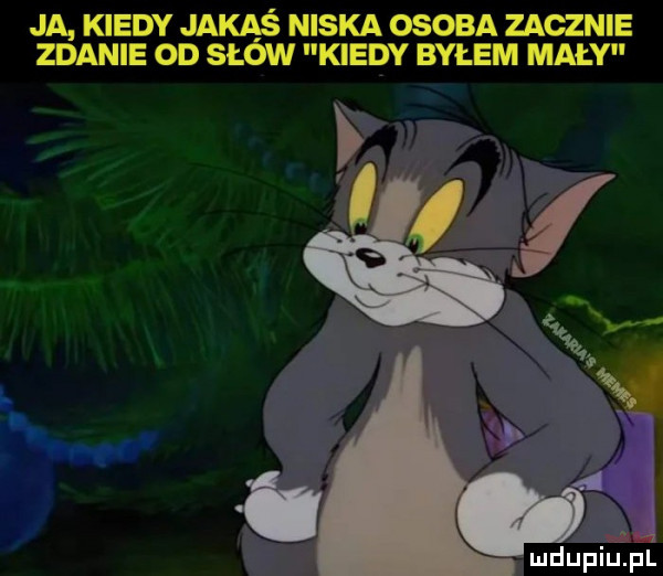 ja kiedy jakaś niska osoba zacznie zdanie od słów kiedy byłem mały ludupiu. pl