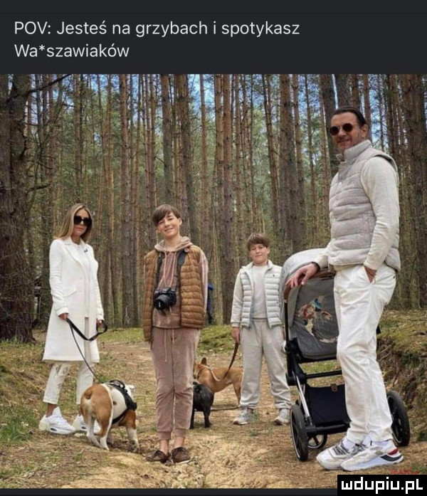 pcv jesteś na grzybach i spotykasz wa szawiakéw im i hal         . ﬁaupiupl