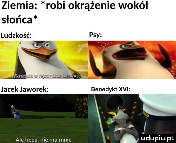 ziemia robi okrążenie wokół słońca ludzkość psy ﬁg ii i jacek jaworek benedykt xvi ale heca nie ma mnie