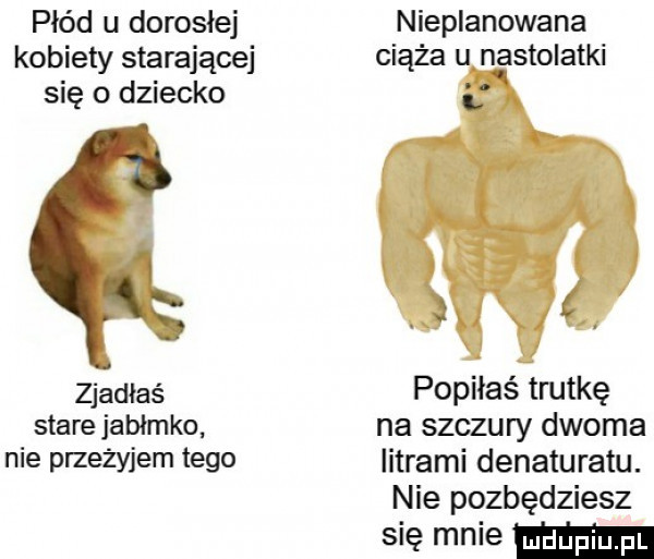 płód u dorosłej kobiety starające się o dziecko zjadłaś stare jabłmko nie przeżyłem tego niemianowana ciąża u nqastolatki. l popiłaś trutkę na szczury dwoma litrami denaturatu. nie pozbędziesz się mnie ma