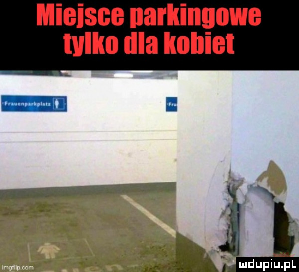 miejsce narkingowe tvllm irla kobiet mdupiupl
