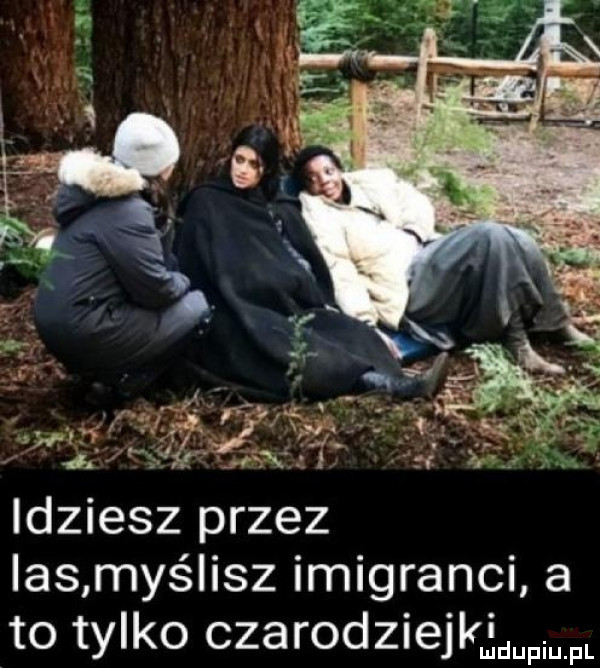 idziesz przez ihs maś ilz imigranci a to tylko czarodziejki