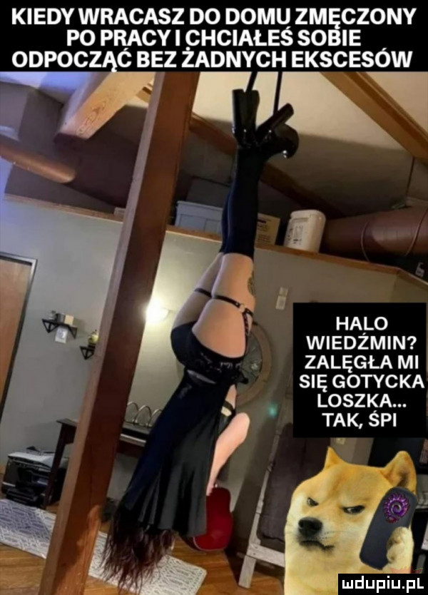 kiedy wracasz do domu zm chony po pracki chciałeś so ie odpoc ć baz żadnych ekscesów wiedźmin zalęgła mi   gotycka loszka. ludupiu. pl